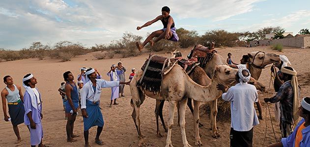 Camel jumping