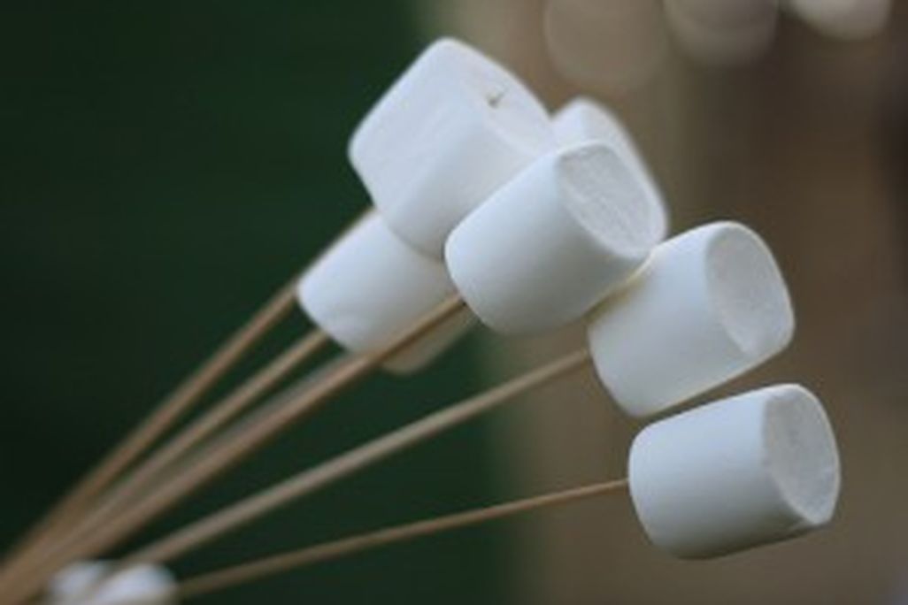 20110520102246marshmallows-300x225.jpg