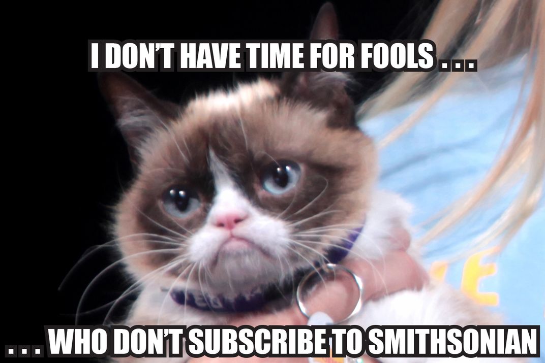 Opener - Grumpy Cat