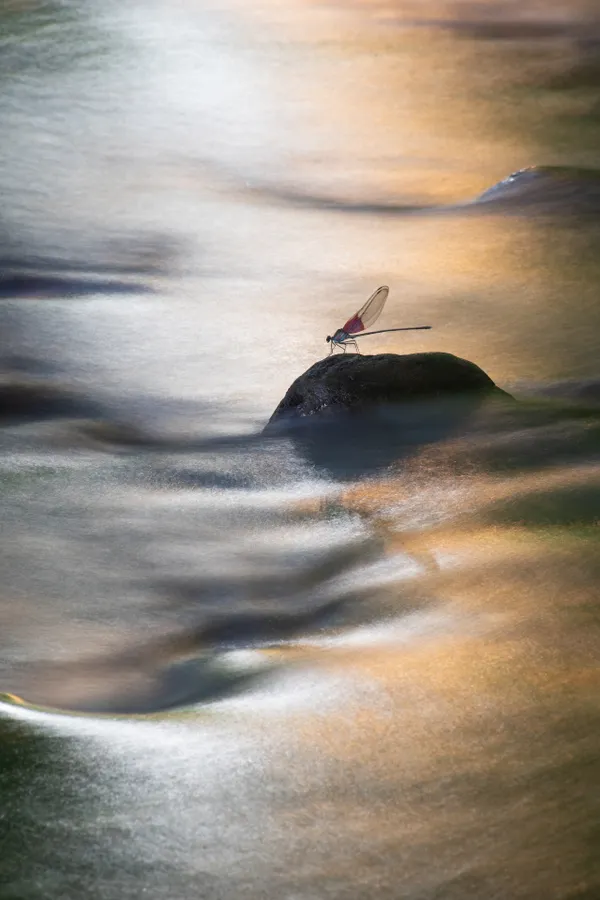 Oil painting in the Stream thumbnail