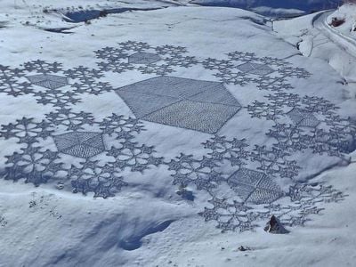 Snowflakes seem a natural choice for a pattern in the snow-covered field, but they also showcase Beck's mathematical precision.