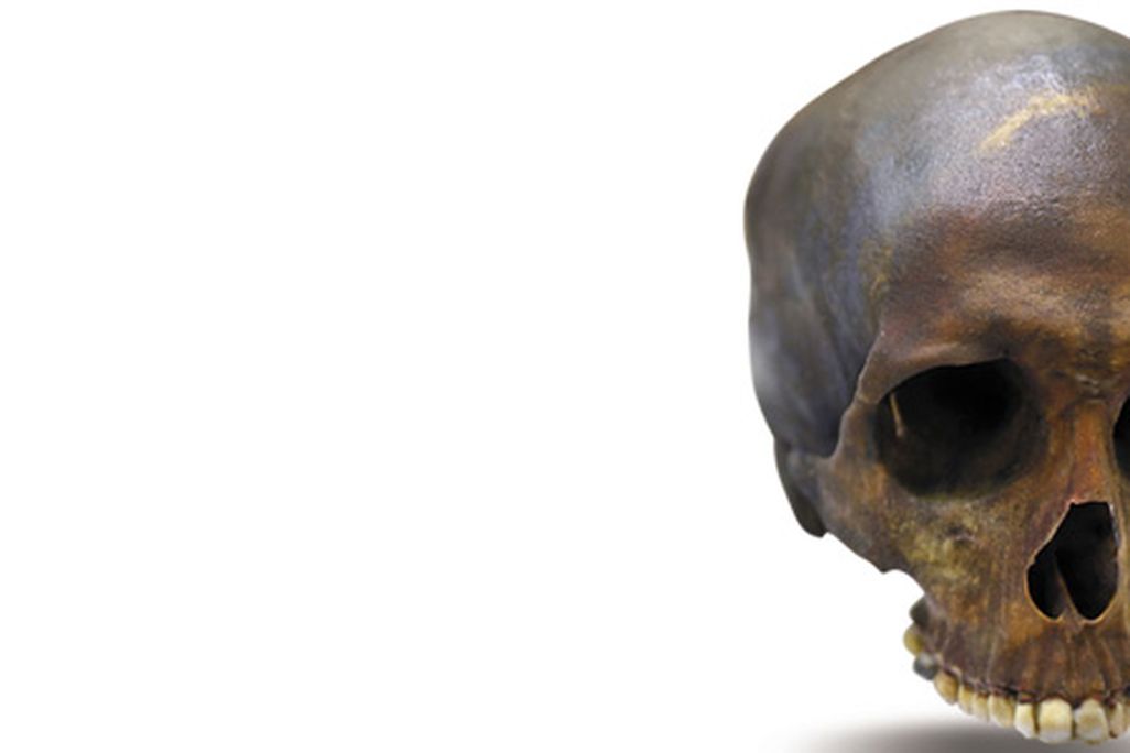 A replica of the skull of Robert Kennicott