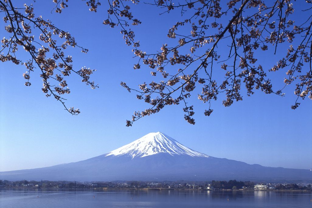 Fuji