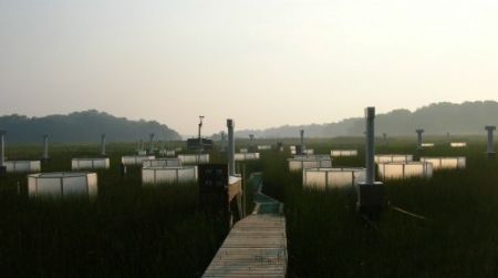The Global Change Research Wetland at the Smithsonian Environmental Research Center