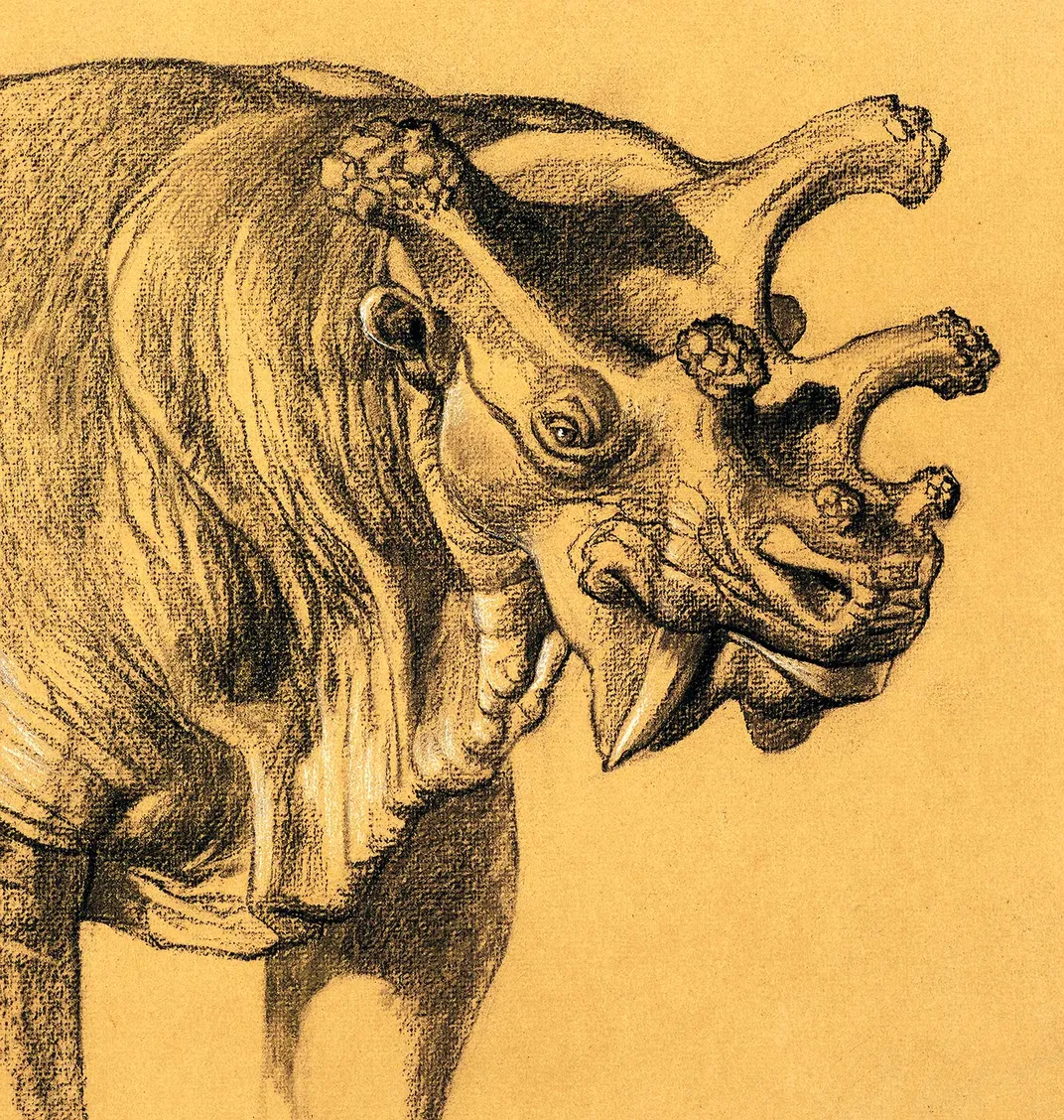 Uintatherium