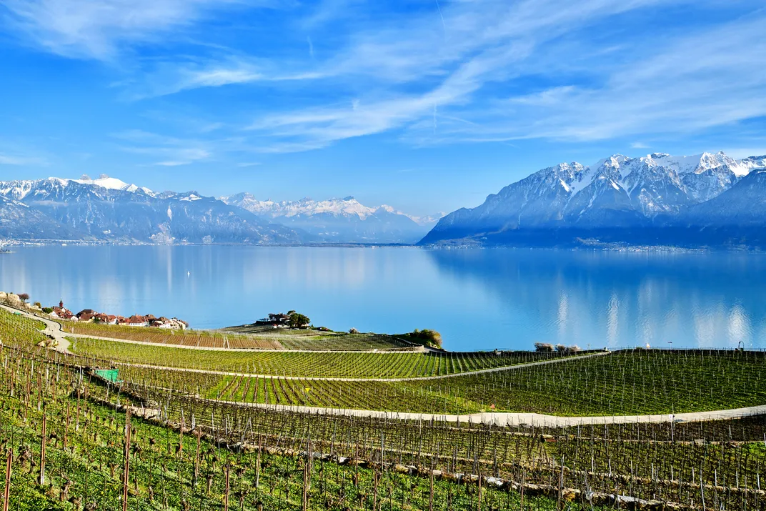 Lavaux vineyards and Lake Geneva
