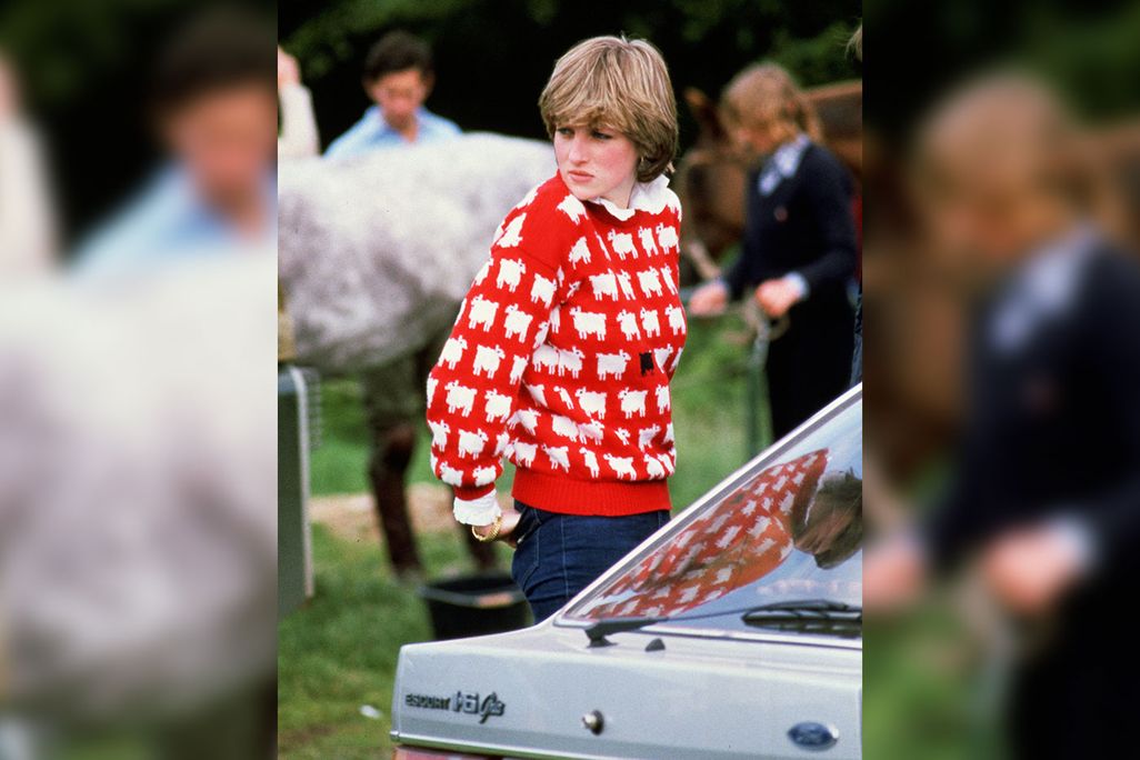 Diana at the 1981 polo match