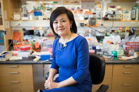 MIT professor Li-Huei Tsai may have a new treatment for Alzheimer's disease.