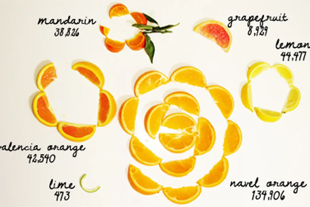 Visualization of California's statewide citrus production volumes.