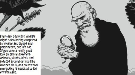 Eugene Byrne and Simon Gurr wanted to celebrate Darwin’s lifelong spirit of curiosity and bring the message to kids with their new graphic novel.