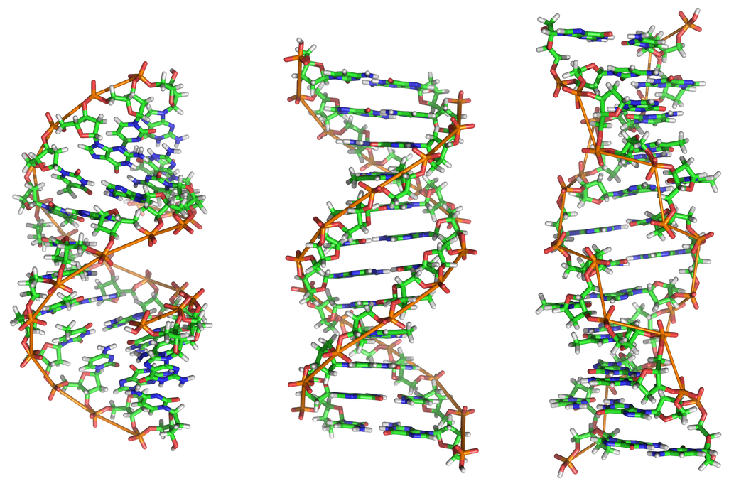DNA