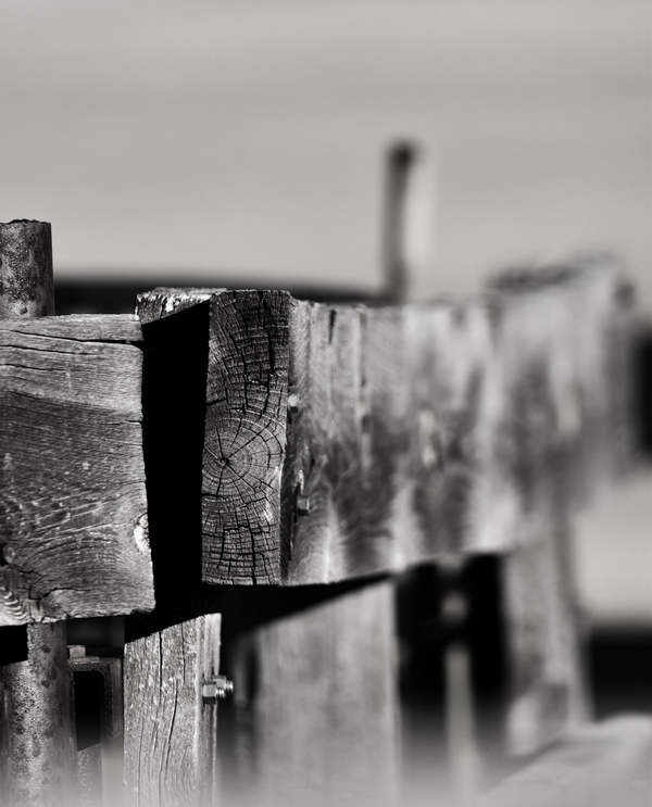 Wooden fence in corral thumbnail