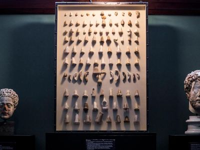The Nasotek is on display at the Ny Carlsberg Glyptotek, an art museum in Copenhagen, Denmark.