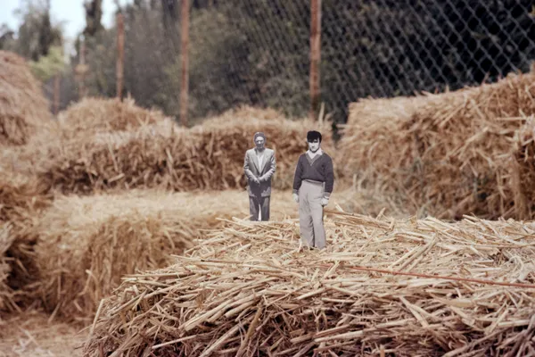 "Natural Form"  Series thumbnail