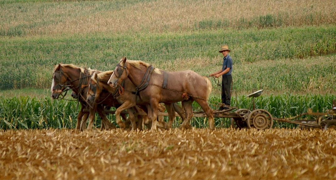 Amish Farmer Plows His Fields The Old Fashioned Way Smithsonian Photo