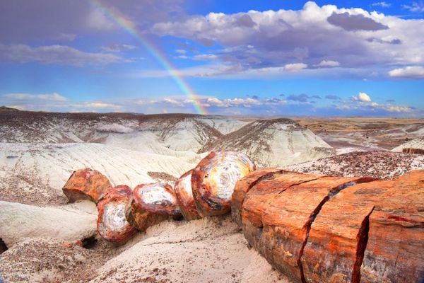 A rainbow arches over Petrified Forest National Park. thumbnail