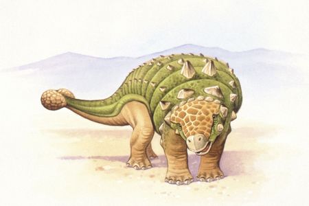 Paleontologists are just beginning to uncover the evolutionary backstory of armored dinosaurs like the ankylosaur Euoplocephalus.