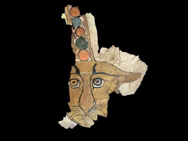 Digital reconstruction of leopard face painting
