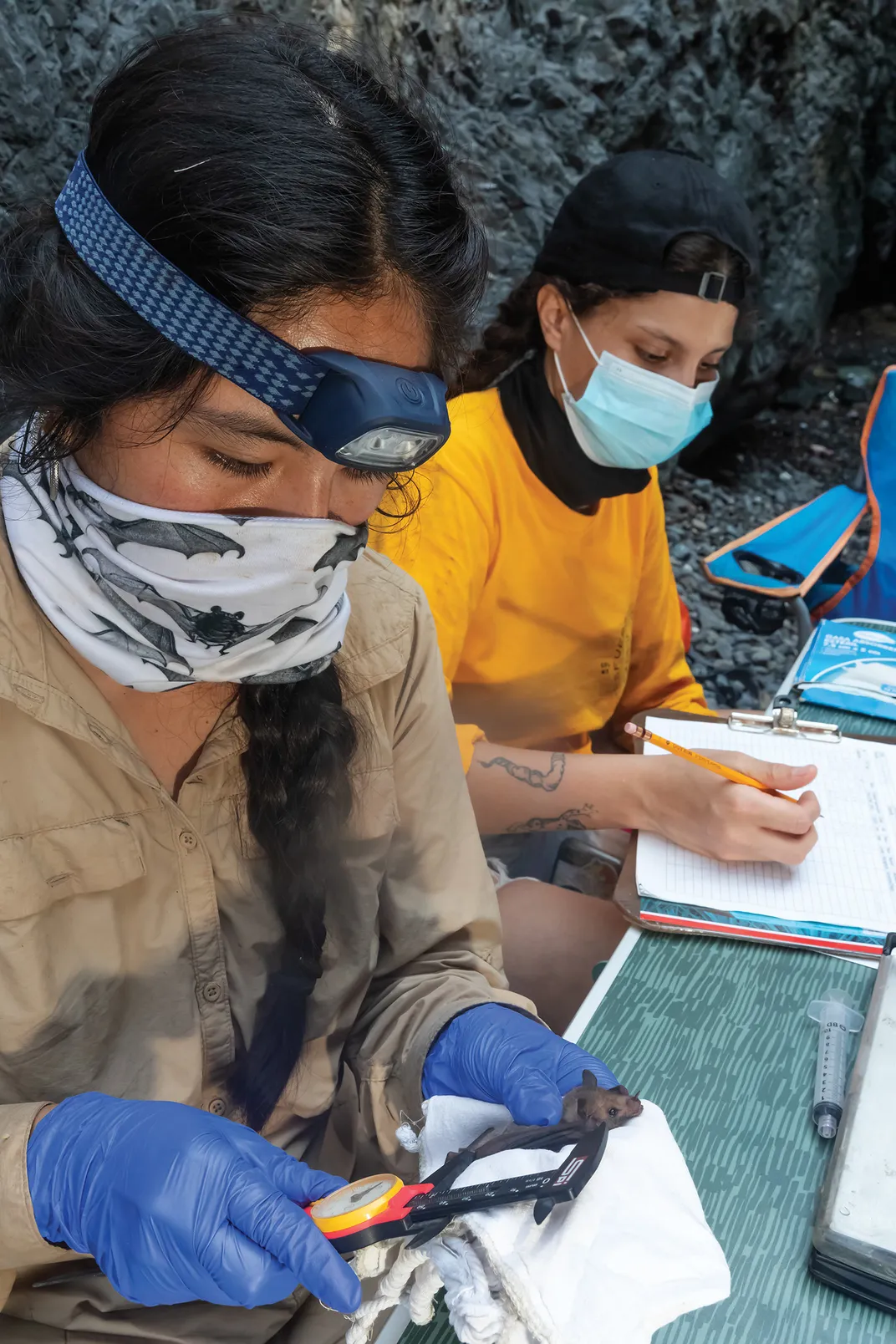 Biology student Minerva Carillo Cruz, left, measuring the wing of a bat, and, taking notes, Ingrid García Gallardo, a bartender from Guadalajara who serves “bat-friendly” spirits, and who joined the research trip at Medellín’s invitation.