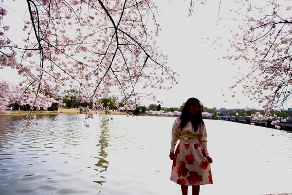 Cherry Blossom Dress thumbnail