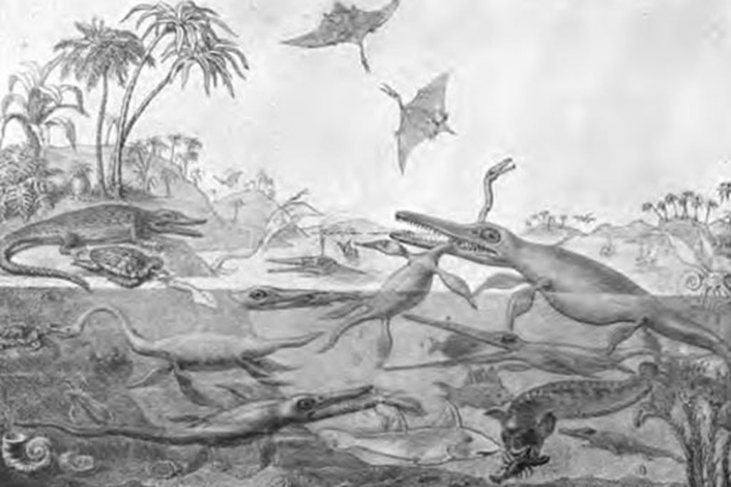 20110520083109duriaantiquior.jpg