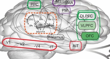 Meet Spaun, a computer model that mimics brain behavior.