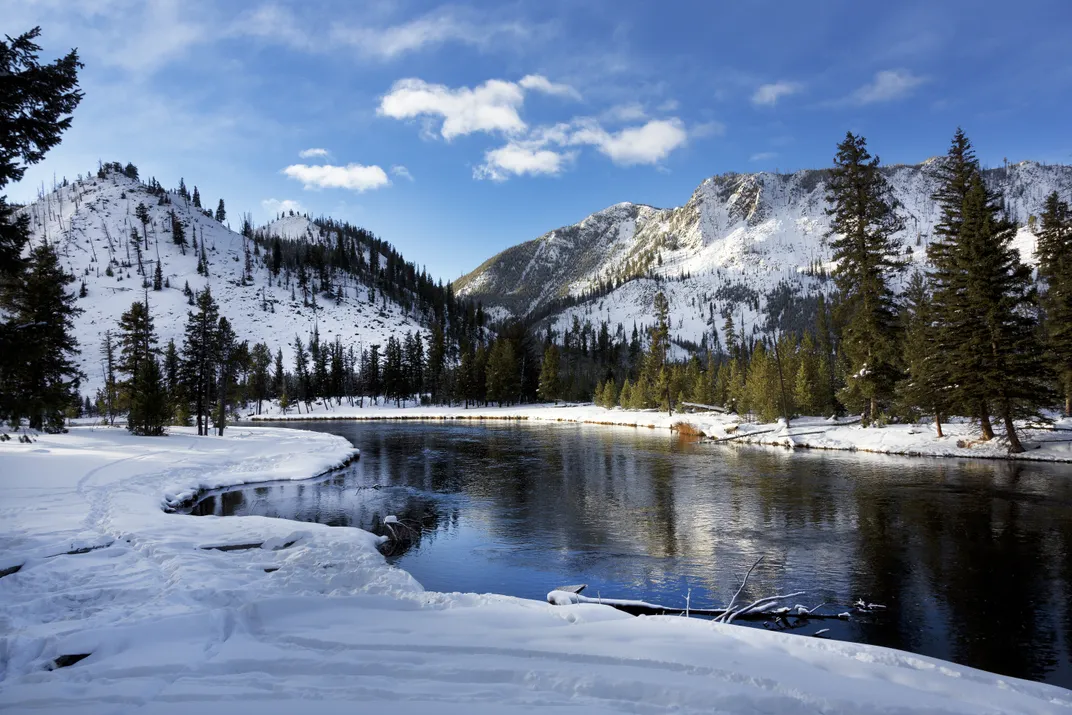 Yellowstone River in Winter