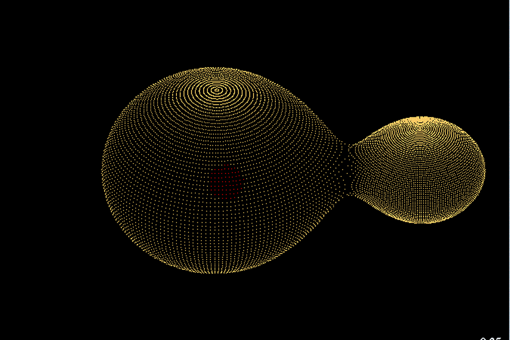 binary stars