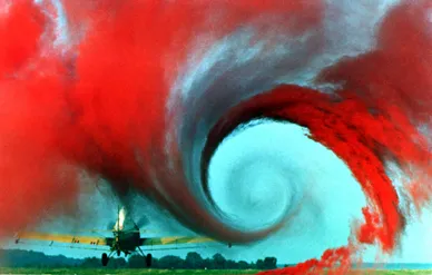 The swirling wing vortex