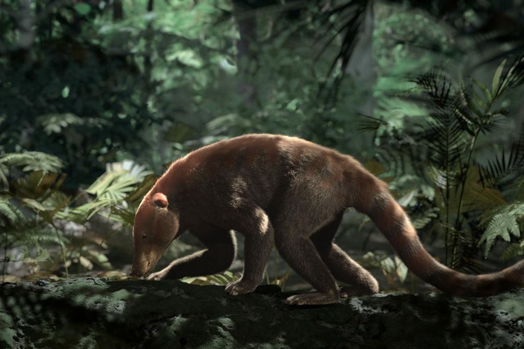 Loxolophus