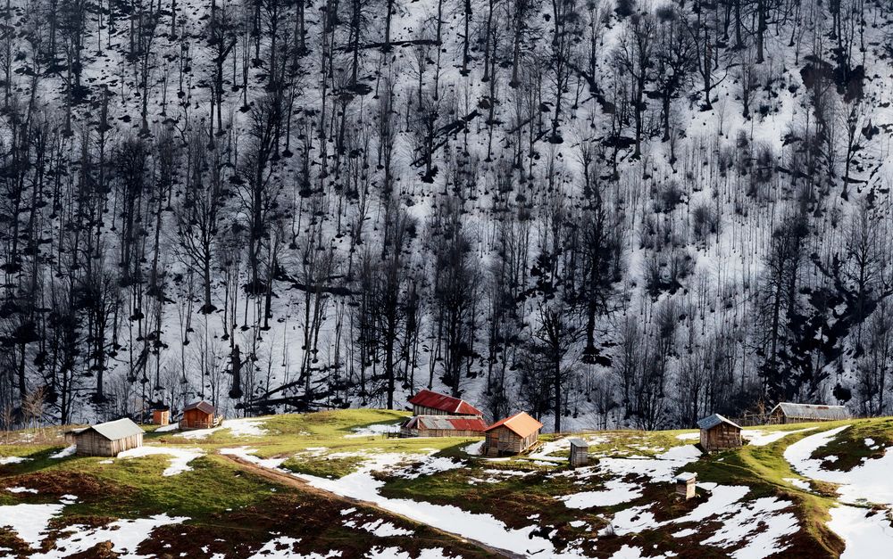 Ulasblangah Heights, Guilan: Where Winter meets the First Green. A testament to the serene, enduring life nestled between the silent mountains and the warmth of wooden homes