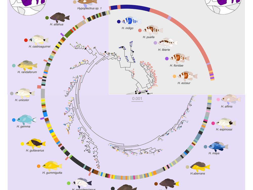 Genome_3