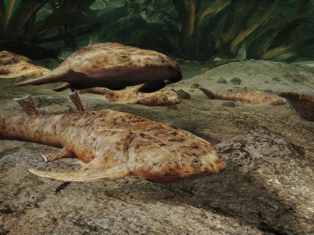 Xiushanosteus