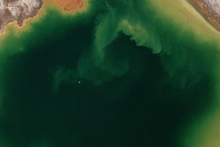 American Mine (Nevada 1), 2007
Tailing ponds from gold mines outside of Elko, Nevada.