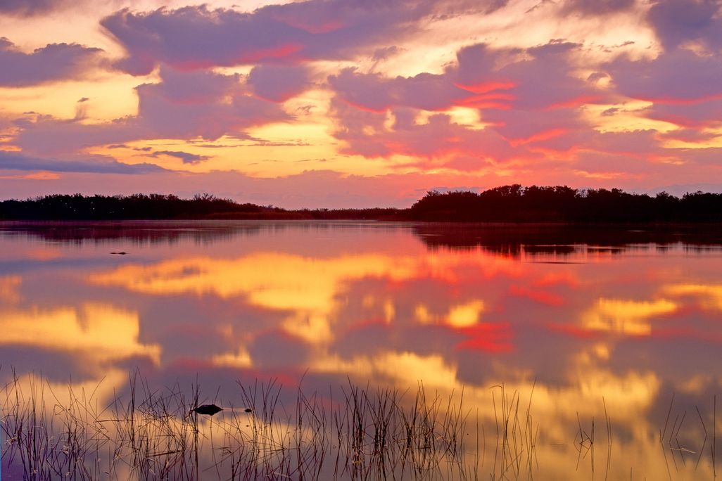 Everglades Sunset