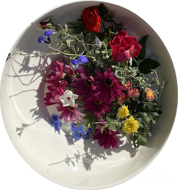 Life is Just a Bowl Full of Flowers thumbnail