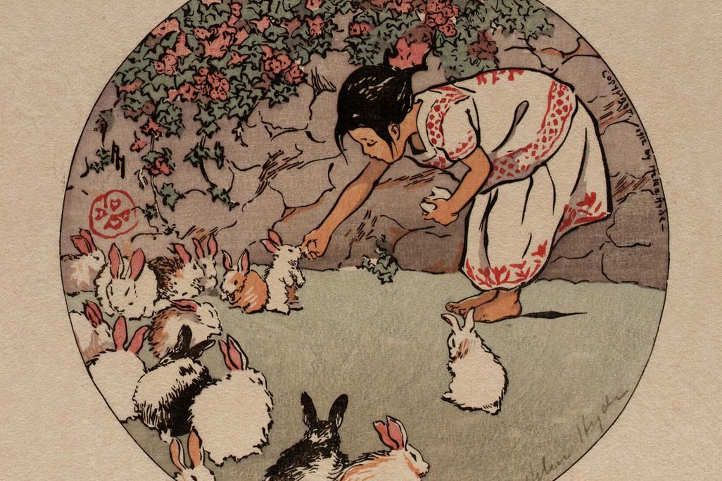 feed-bunnies.jpg