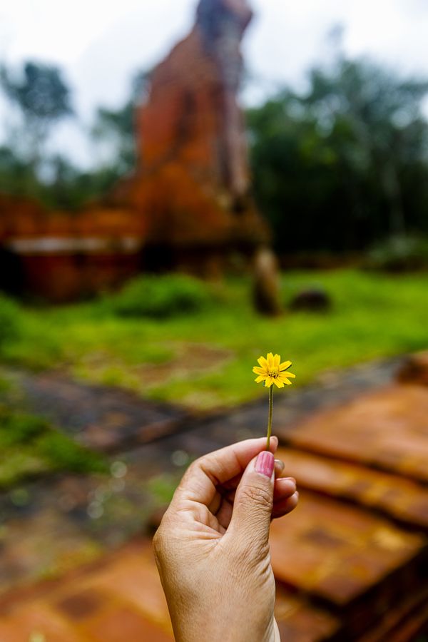 New Flower Old Ruins thumbnail