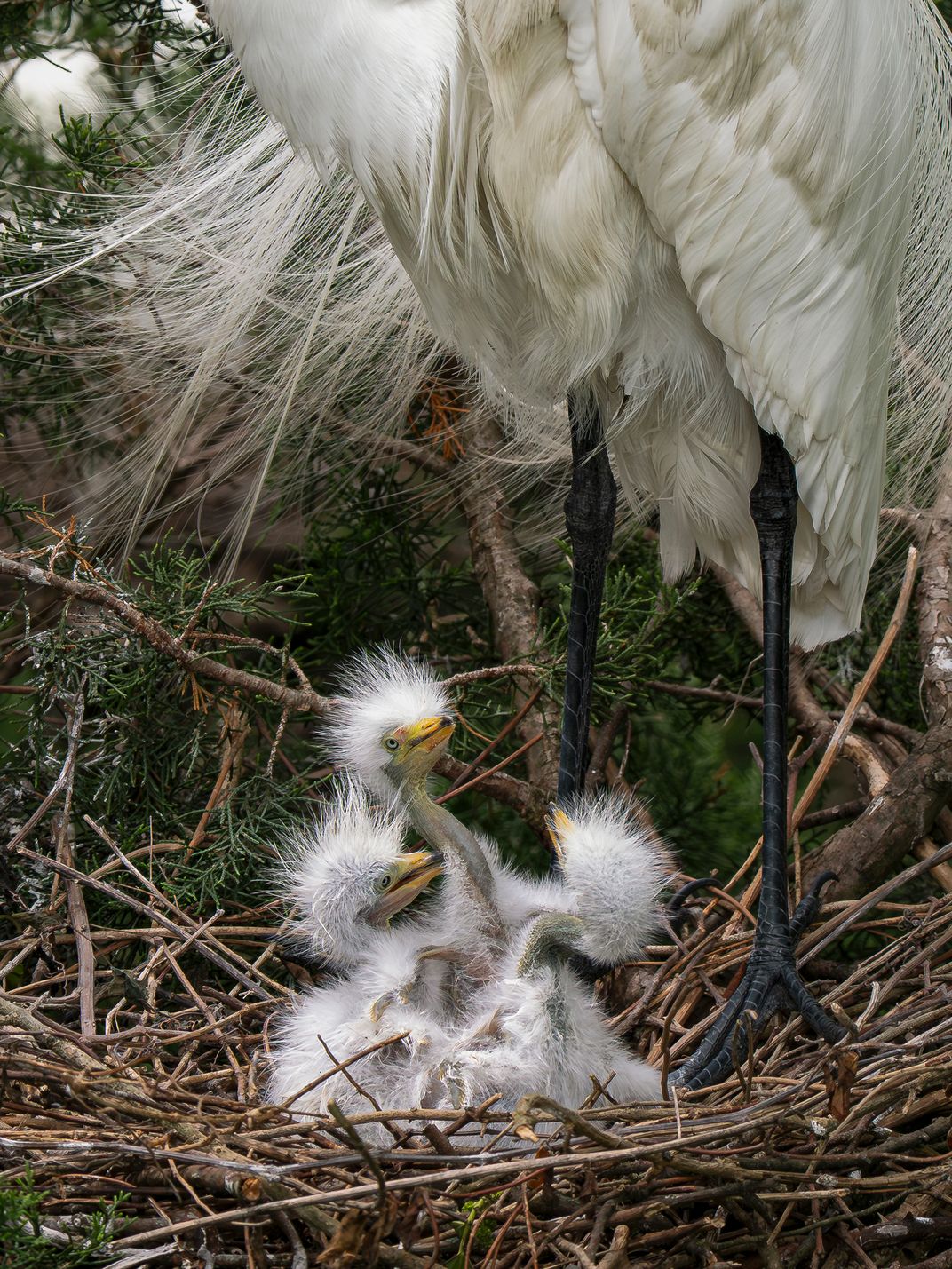 See the Spectacular Winners of Smithsonian Magazine’s 23rd Annual Photography Contest