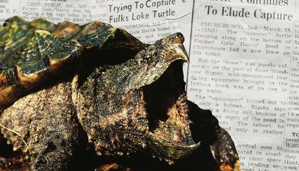Could Citizens of This Indiana Town Have Seen a 500-Pound Turtle?