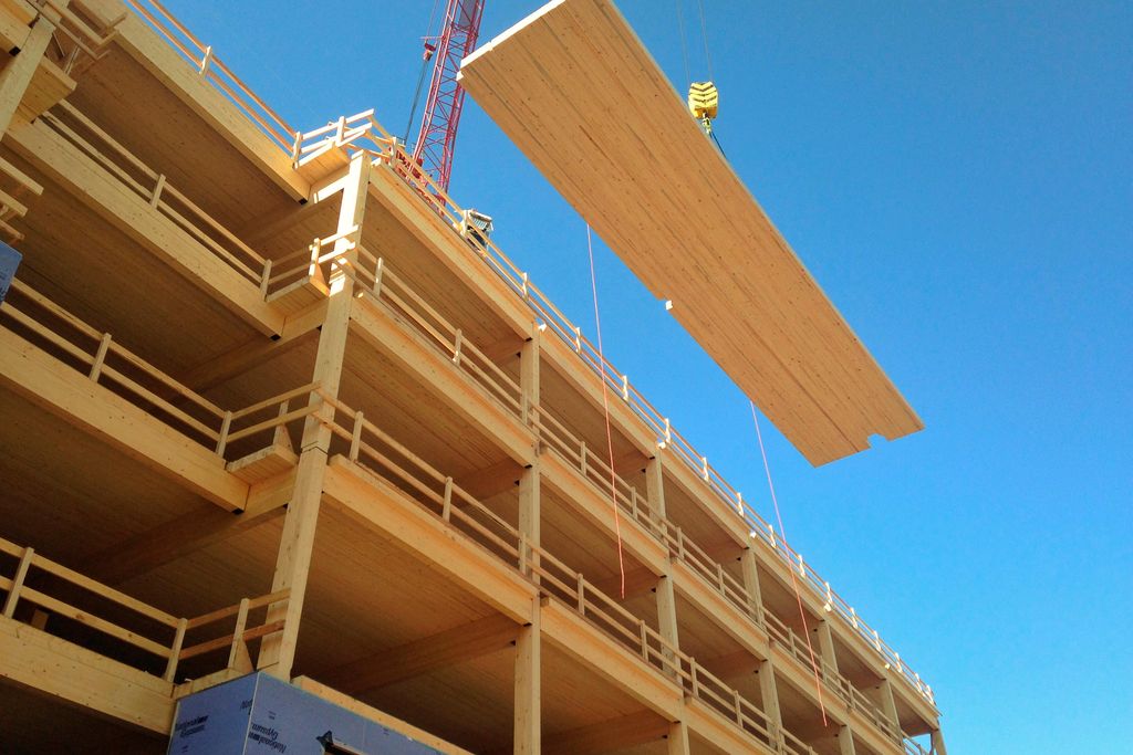 T3 Wooden Building