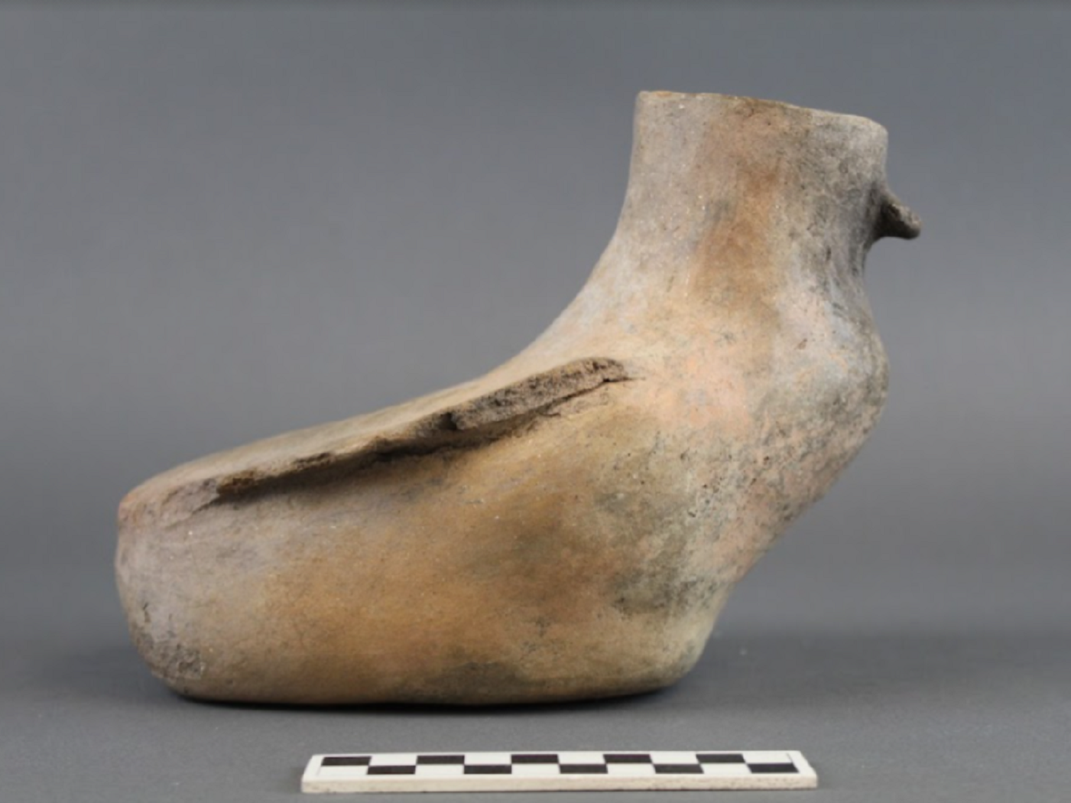 Duck-shaped vessel