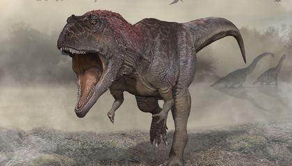 Paleontologists Uncover New Dinosaur With Tiny Arms Like T. Rex
