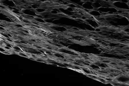 A close fly-by of Saturn's two-faced moon.