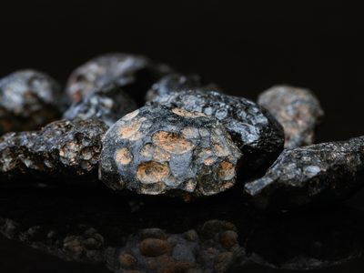 A large meteorite can launch bits of molten rock into the atmosphere when it impacts Earth. When that molten rock cools, it forms tektites, shown here.