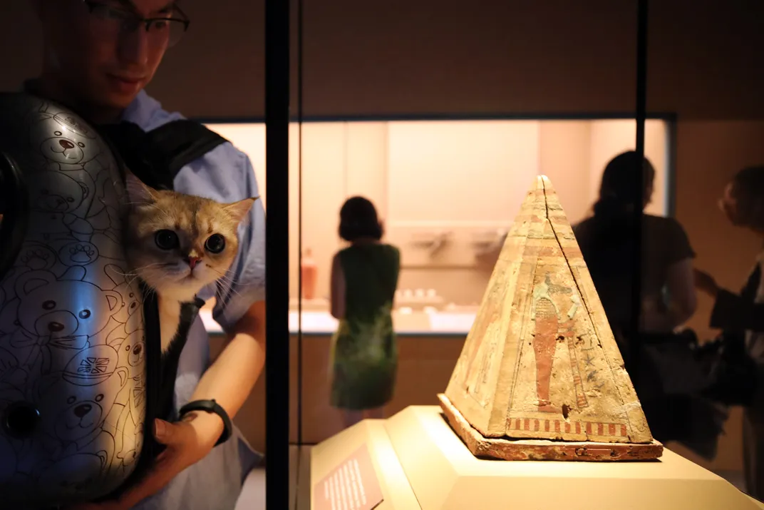 Visitor and cat