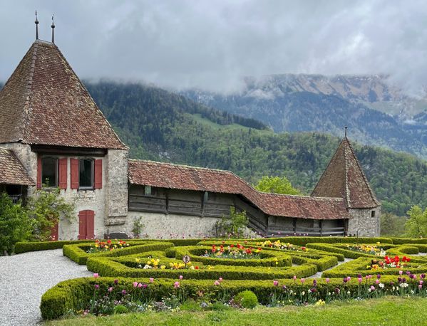 Gruyères Castle bursting with a vibrant garden and mountain view in the distance. thumbnail