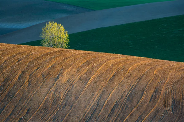 Fields in Turiec region. thumbnail