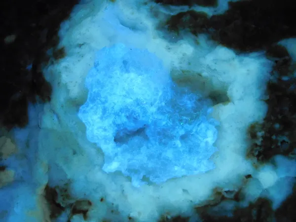 Energy, Nikon B500 thumbnail