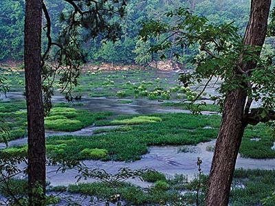 Cahaba River